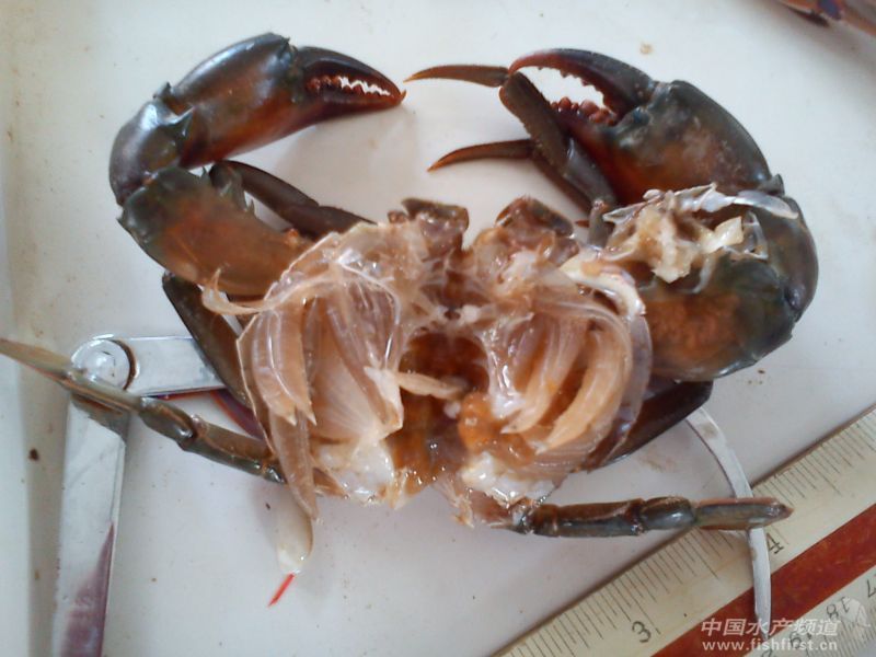 DSC01921.jpg