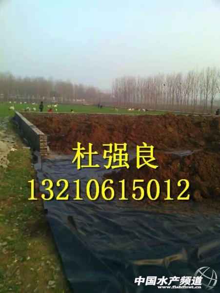 QQ�DƬ20150129080500.jpg