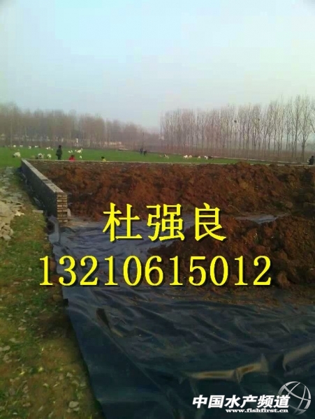 QQ�DƬ20150129080250.jpg