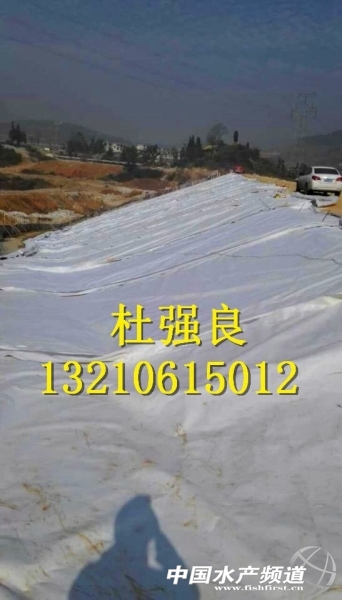 QQ�DƬ20150129080230.jpg