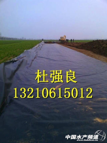 QQ�DƬ20150129080208.jpg