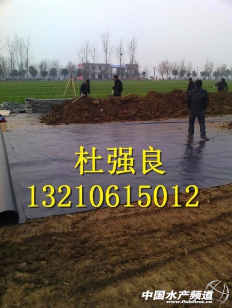 QQ�DƬ20150129080117.jpg