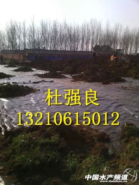 QQ�DƬ20150129080029.jpg