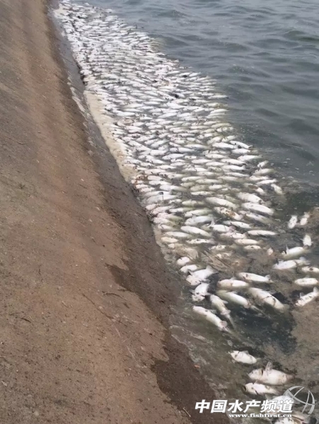��ϰ�ġ�����.jpg