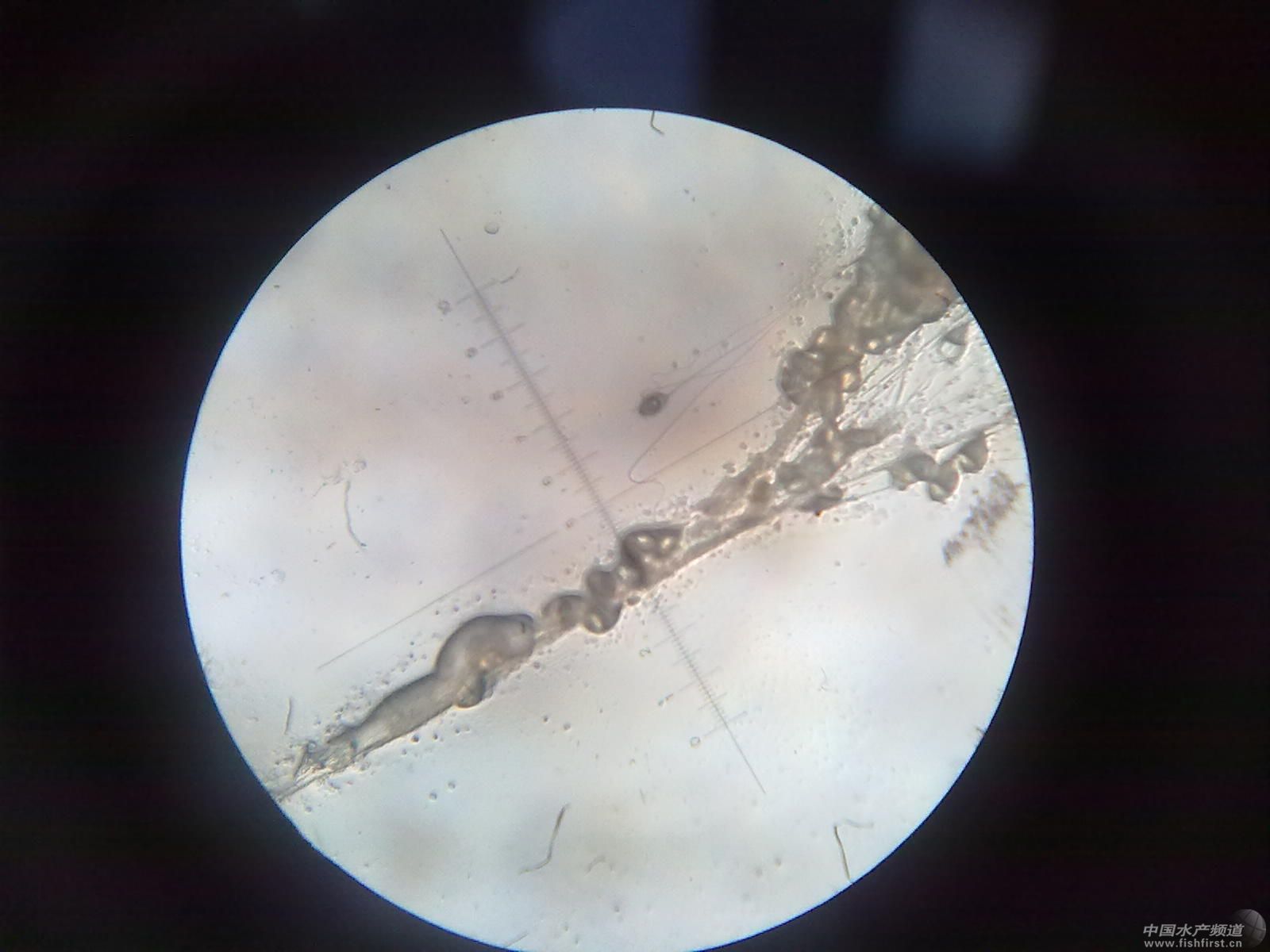201108112645.jpg
