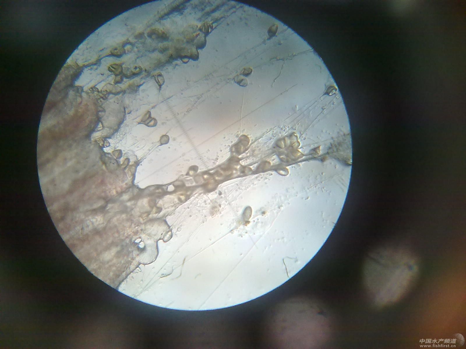 201108112649.jpg