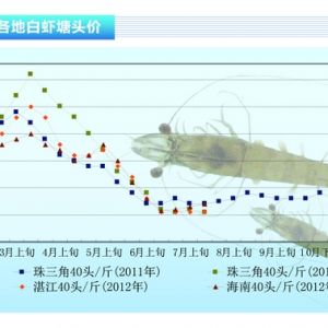 ���r���r�r��΢���� ���������Bֳ�P�I����2012��8�¿��Ј�څ��