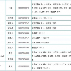 ʯ�����飺������đ��Ɍ��������������y�u�r��