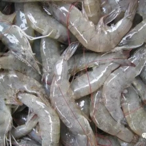 7�l���a�����r��FDA�ܽ^�M���������I��ڰ����؄e��Խ�ϵ��@����˾��
