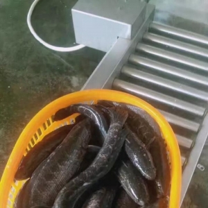 ���~��ߝq1Ԫ/��������2017��10��9�����~���^��r