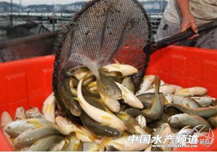30�|β�Ј�����������x���|���������S�~֮�������Ҹ�����֧��