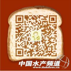 �麣����ɽ��ꖽ��ϝq������ߝq8Ԫ/��ٵȵ����r�r���ٝq��