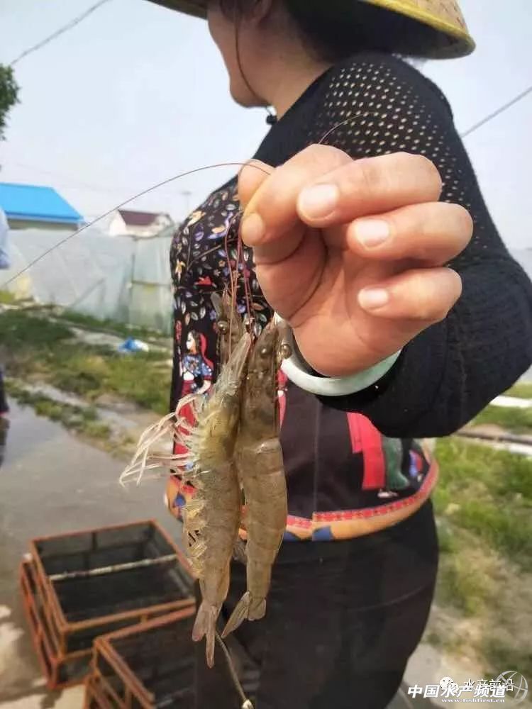 ���O���_�������ش��rӭ�����ո߃r���������@��s����15Ԫ
