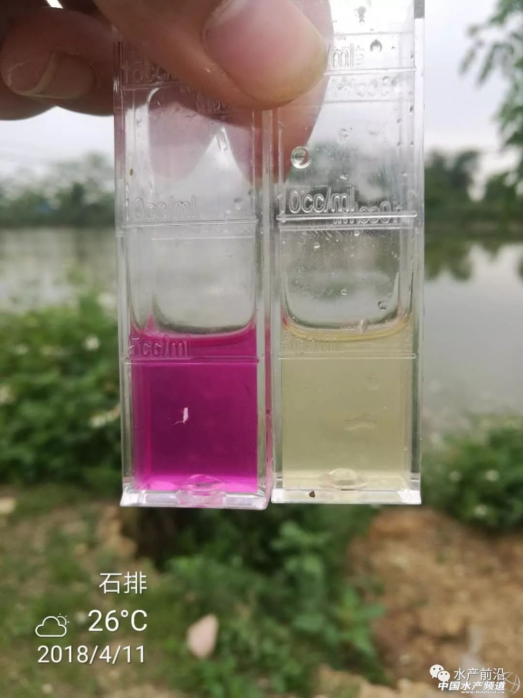 ������؛���������}�ߣ����׷���������鲻֪���@Щԭ����