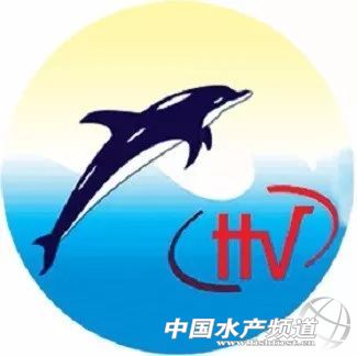 Խ�ϰ�ɳ�~��ITOP10��αP�c��������Щ��I�ϰ���