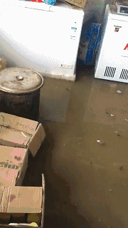 �o����������һƬ���������f���~���ܞģ����_�L�����hδ�Y����