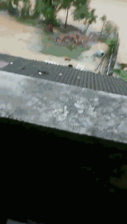 �o����������һƬ���������f���~���ܞ������_�L�����hδ�Y����