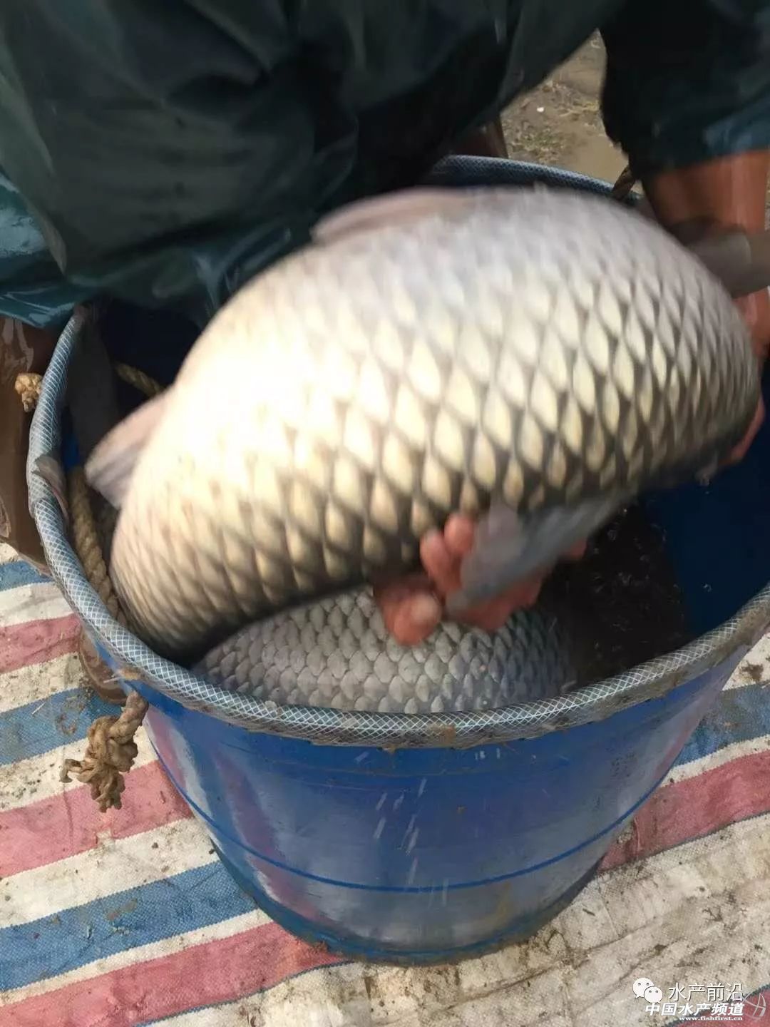 �������ɱ��q300��Ԫ/�����~�r�s߀���µ���������~�����B��