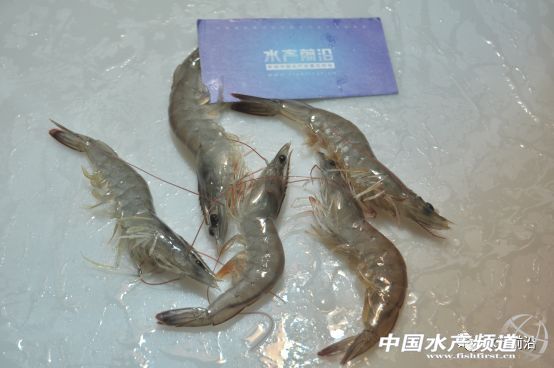 ���ı��`������������l��������Ξ鰲ȫ�ɿ����r������Ҫһ�����}�͹ַN�r
