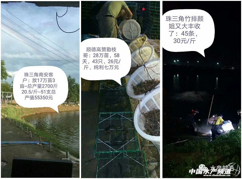 ���ܶȾ��B�ɹ����ձ�8-9����Ҏ���_15�^/�����@Щ�B�rģʽ��ֵ�ÿ���