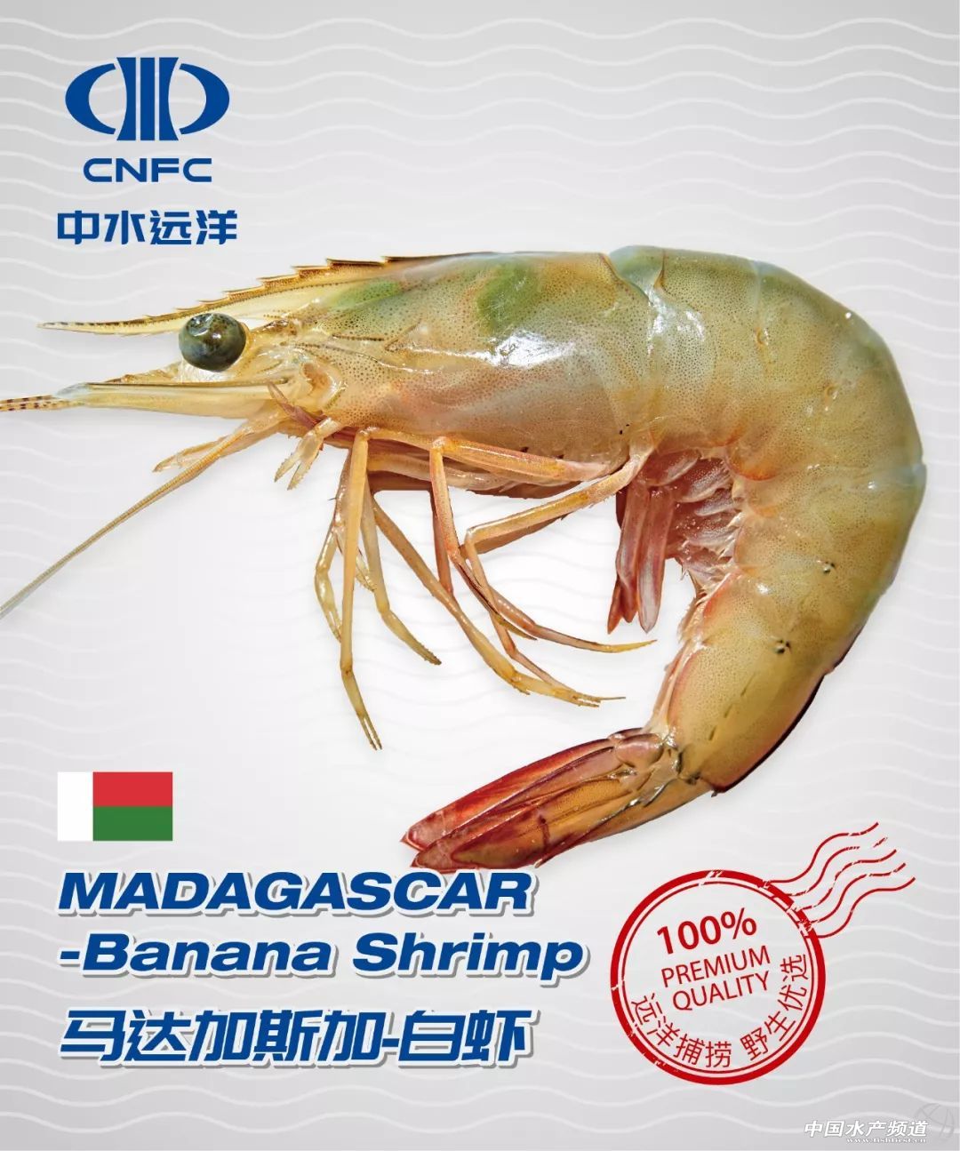 ����Ʒ����������ˮ�h���M܊�̳������Ј����aƷ��챾���Ͼ���