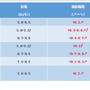 2018��12��8�����~���^�r���麆��--��ؽ��Ͳ����p�����~�r�ϝq