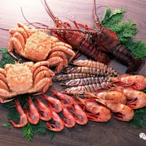�Ї����r���M�Ј������M�ں��r�������L