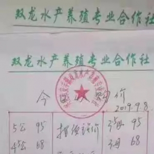 �ߴ�2.5ĸ�q15Ԫ/����ȫ����س�з��r��