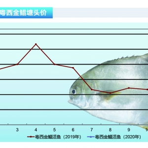 ���K�~������������A�����ؽ��K�~�r�񱩝q������ˮ�aǰ�ء�2020��2�¿��Ј�څ��