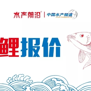 ���������~�����~�r����ڃȟo�����C��
