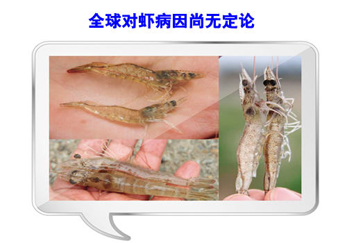 ȫ���r�����Пo��Փ