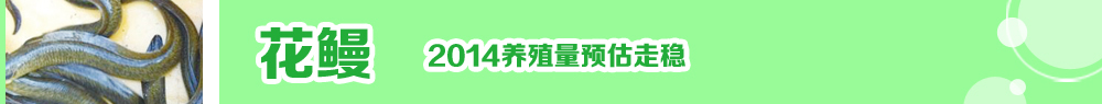 2014ˮ�a�N�紺��ُ�Nָ��