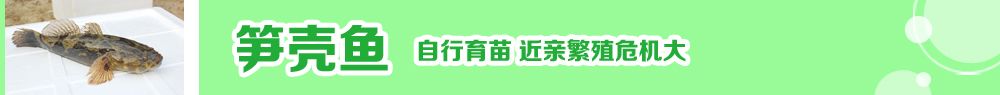2014ˮ�a�N�紺��ُ�Nָ��