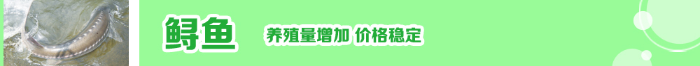 2014ˮ�a�N�紺��ُ�Nָ��