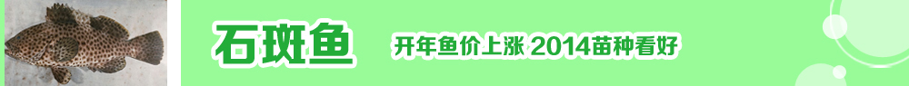 2014ˮ�a�N�紺��ُ�Nָ��