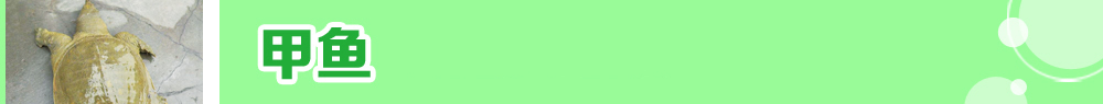 2015ˮ�a�N�紺��ُ�Nָ��