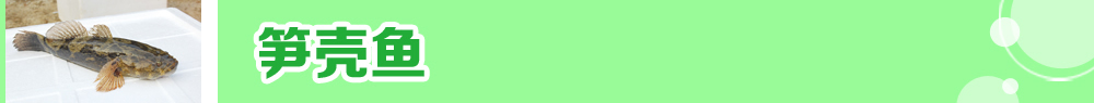 2015ˮ�a�N�紺��ُ�Nָ��