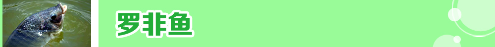2015ˮ�a�N�紺��ُ�Nָ��