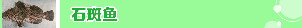 2015ˮ�a�N�紺��ُ�Nָ��