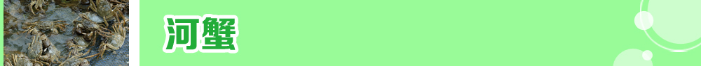 2015ˮ�a�N�紺��ُ�Nָ��