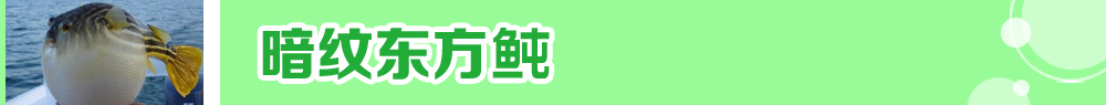 2015ˮ�a�N�紺��ُ�Nָ��