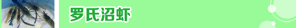 2015ˮ�a�N�紺��ُ�Nָ��