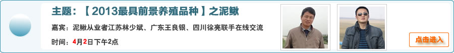 【2013最具前景養殖品種】之泥鰍